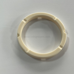 Pompa magnetica con anello di tenuta in ceramica di allumina 95% isolante