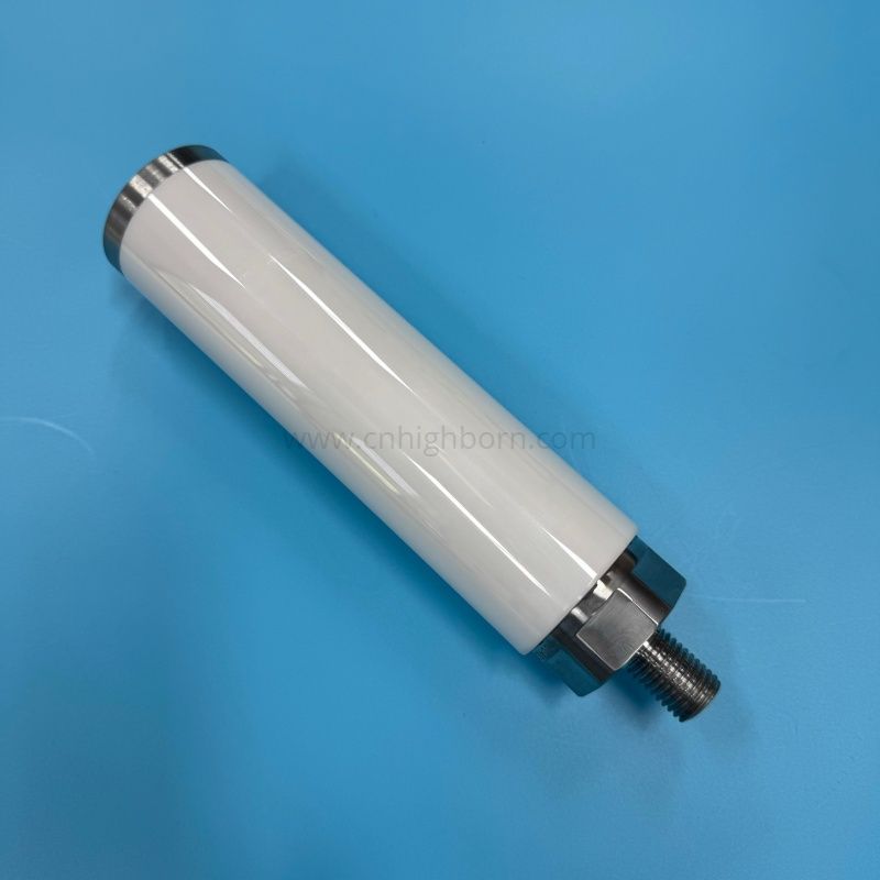 Stantuffo della pompa con stelo a pistone in ceramica di zirconio personalizzato