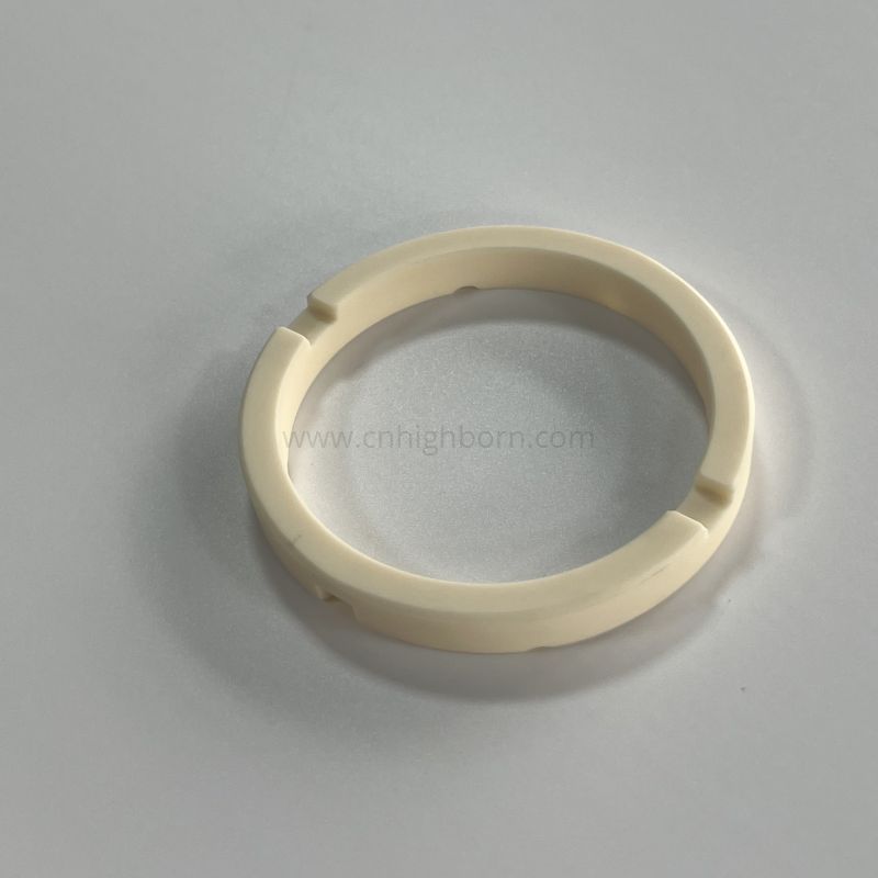 Pompa magnetica con anello di tenuta in ceramica di allumina 95% isolante