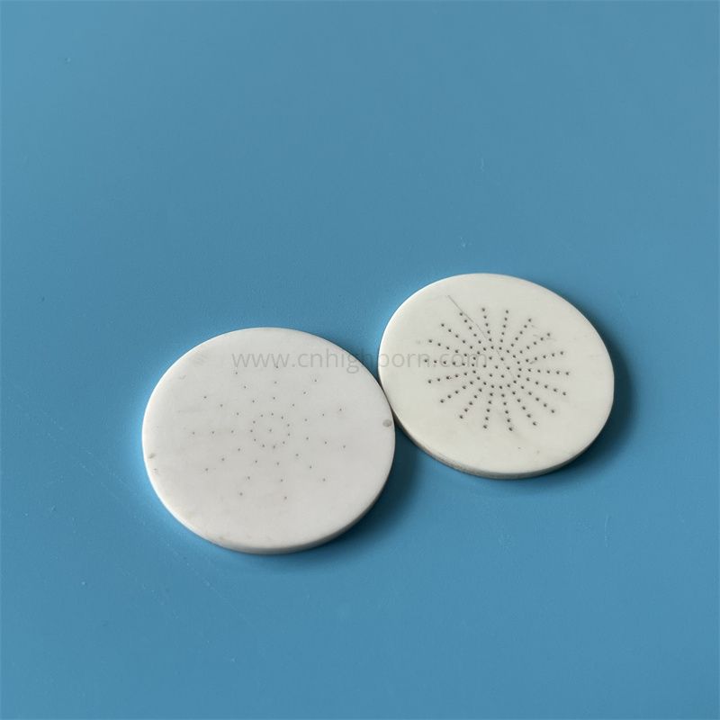 Piastra in allumina con disco ceramico al 95% Al2O3 con fori