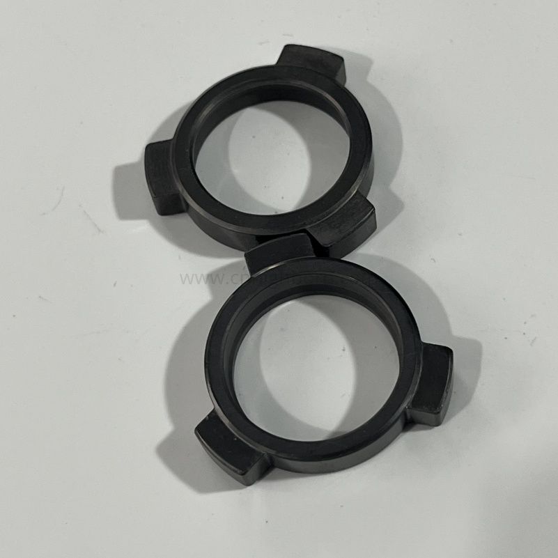 Anelli di tenuta SSIC in carburo di silicio SiC O-ring in ceramica