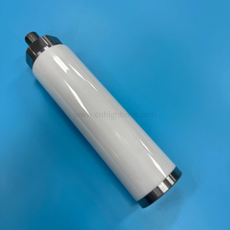 Stantuffo della pompa con stelo a pistone in ceramica di zirconio personalizzato